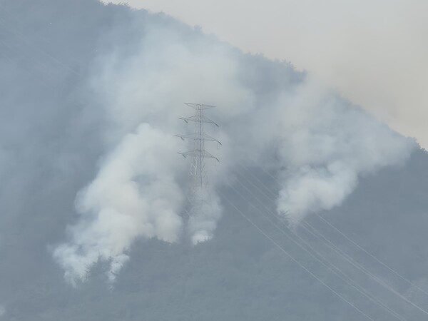 산청군 단성면 구만마을에서 바라본 산불 현장. 23일 오후 1시께 송전탑 아래로 산불이 확산하고 있다.  /김태섭 기자 