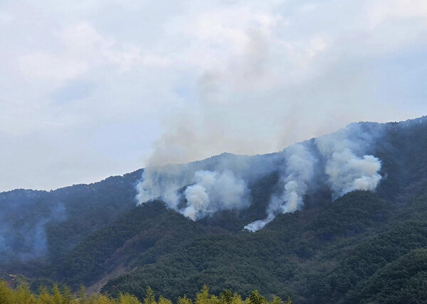 하동군 옥종면 산불 모습 /이영호 기자