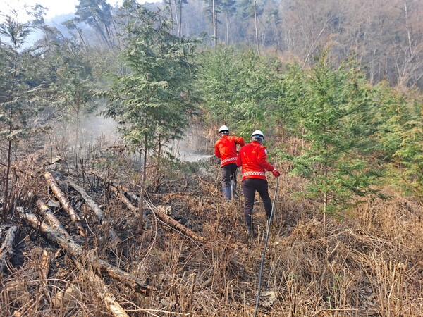 산청 시천면 산불 현장에 파견된 거창군 소속 산불예방전문진화대원들이 24일 하동군 옥종면 두양마을 일대 현장에서 진화작업을 벌이고 있다. /정성헌 거창군 진화대 조장 