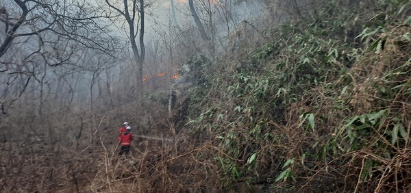 산청 시천면 산불 현장에 파견된 거창군 소속 산불예방전문진화대원들이 24일 하동군 옥종면 두양마을 일대 현장에서 진화작업을 벌이고 있다. /정성헌 거창군 진화대 조장 