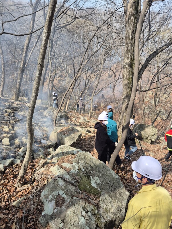 26일 오전 3시께 산불이 대운산을 넘어 양산으로 번진 가운데 진화작업이 계속되고 있다. /양산시