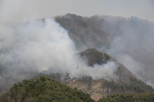 26일 오후 지리산국립공원 인근지역인 산청군 시천면 동당마을 뒷산이 불타고 있다. /김구연 기자