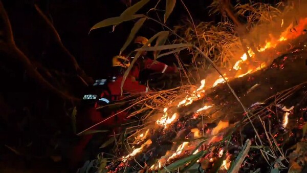 28일 오후 산청 산불 현장. 두꺼운 낙엽이 쌓여 산림당국 진화대원들은 진화 작업에 어려움을 겪고 있다. /산림청