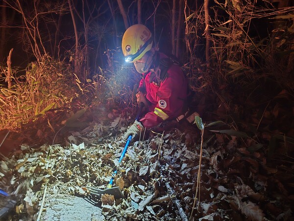 28일 밤 산림청 진화대원이 산불구역 내 1m 높이 낙엽층에서 낙엽을 퍼내고 있다. /산림청