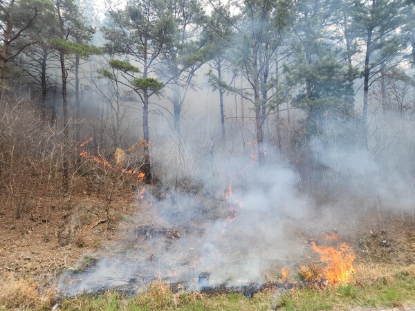 29일 오후 성묘객 실화로 추정되는 산불이 고성군 개천면에서 발생했다. /고성군