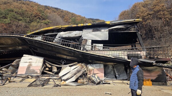 28일 오전 산청군 시천면 중태리 주민 김병욱 씨가 산청 산불로 전소된 자신의 집을 보고 있다. /안지산 기자
