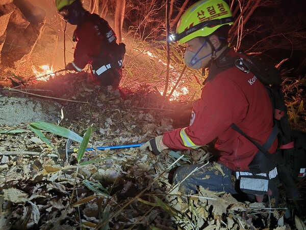 산림청 진화대원이 지리산 내 허리까지 올라온 1m 높이 낙엽층에서 낙엽을 퍼내고 있다.  /산림청