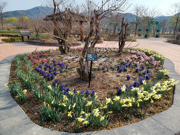 거창창포원 봄꽃. /거창군