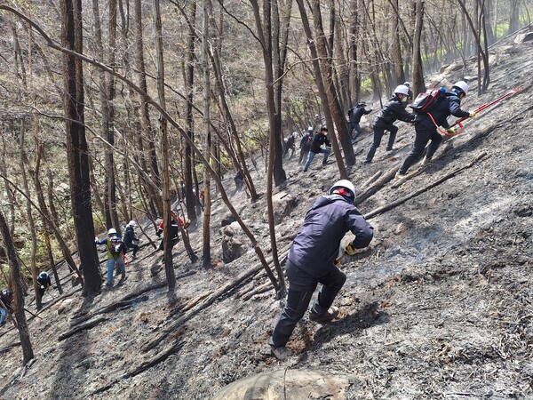 경남 도내 산림조합 산불진화대원들이 산불 진화작을 하고 있다. /산림조합중앙회 부산울산경남지역본부