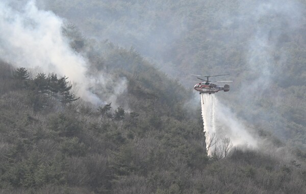 지난 24일 오전 산청군 단성면 자양리 산89번지 일대에서 소방 헬기가 불을 끄고 있다. /김구연 기자