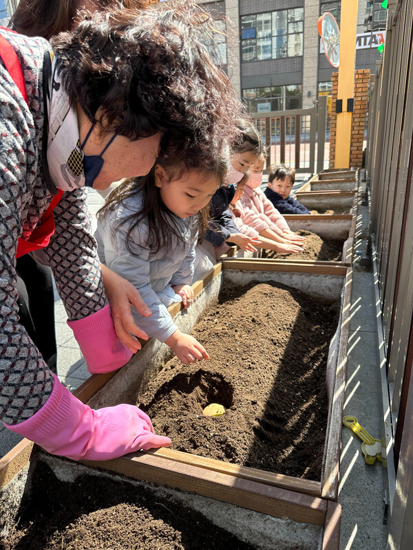 감자 심기에 나선 아이들. /박영희