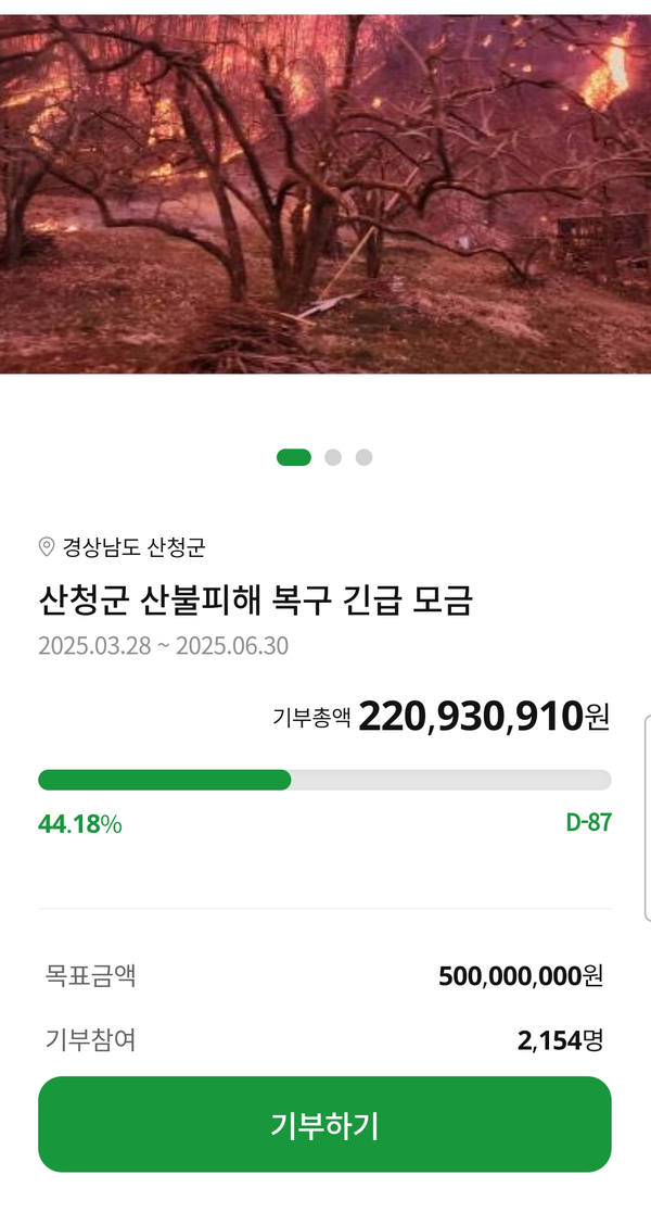 산불피해 복구지원 고향사랑기부 서비스 모습. /NH농협은행 