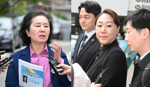 17일 창원지방법원에 출석한 김영선(왼쪽 사진) 전 국회의원과 전 회계책임자 강혜경(오른쪽 사진 가운데) 씨. /김구연 기자