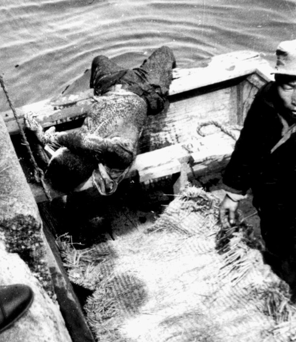 3.15의거 당시 경찰이 쏜 최루탄에 숨진 고 김주열 열사. 1960년 4월 11일 김 열사 시신이 선박에 인양되고 있다. /3.15의거기념사업회