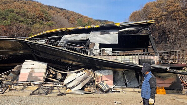산청군 한 주민이 산불로 피해를 본 건물을 바라보고 있다. /경남도민일보 DB