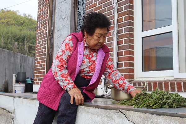 잔너리댁 재연 할머니가 손수 캔 고사리를 다듬고 있다. ／김윤지