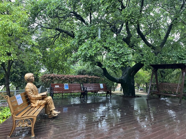 박재삼문학관 입구에 있는 팽나무와 시인 동상. /권영란 기자