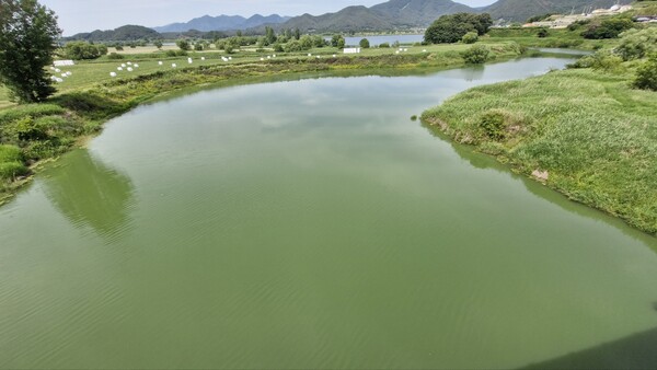 5일 오후 함안보 상류 광려천 유입지점. /마창진환경운동연합