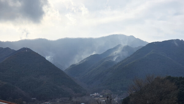 지난 3월 29일 오후 5시께 산청 산불 현장에 자욱했던 연기가 사그라든 모습. /경남도민일보 DB