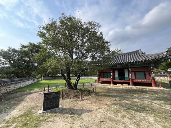 산청군 시천면 시리에 있는 산천재와 뜨락에 있는 남명매./ 권영란 