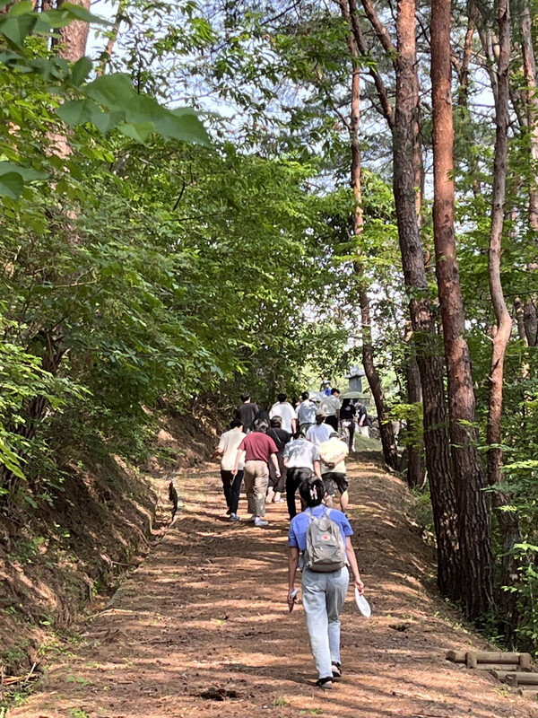 산청군 사천면 사리마을 뒷산 남명 묘소 가는 숲길./ 권영란