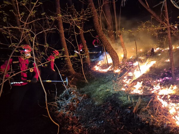 산불진화대원들이 4월 7일 밤 하동군 옥종면 야산에서 산불을 끄고 있다. /산림청