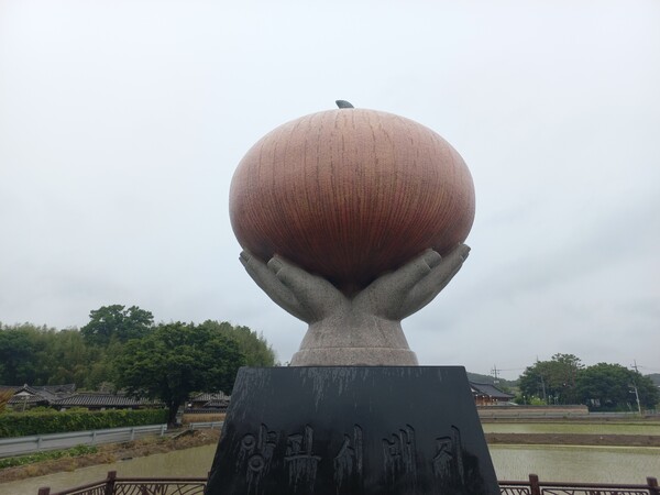 창녕군 대지면 앙파시배지 안내판에는 "1909년, 이곳 대지면 성찬영 선생이 처음으로 양파 재배에 성공했다"고 기록했다. /이일균 기자