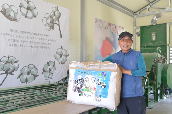임채장 칠성면업사 대표가 직접 목화를 심고, 솜을 수확해 만든 솜이불을 들고 있다. /김태섭 기자