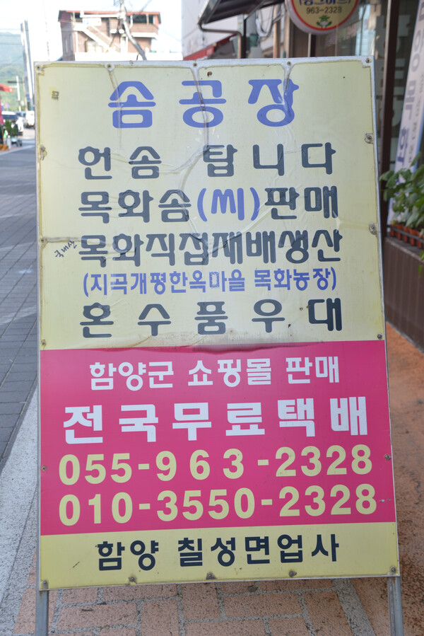 솜틀집 칠성면업사를 안내하는 안내판. /김태섭 기자 