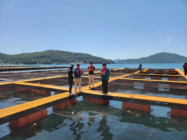 가두리양식장 고수온 점검 현장. /경남도