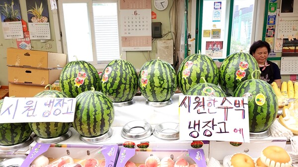 9일 오후 마산청과시장에 수박이 진열돼있다. 가격은 2만 5000원에서 2만 8000원이다. /이원재 기자