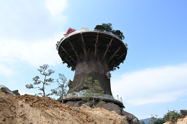 창원 의창구 두대동 대상공원 빅트리 모습./김구연 기자