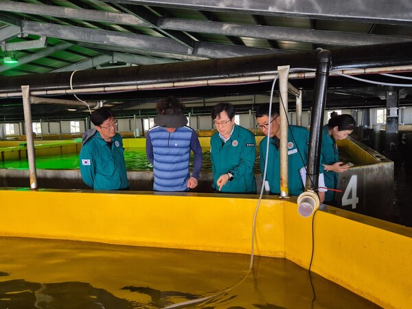 경남도는 고수온 피해가 예상되는 양식장을 방문해 폭염 피해 예방법을 안내하고 있다. /경남도 