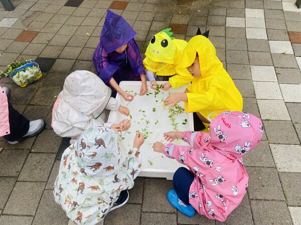 꽃을 만지며 노는 아이들. /박영희