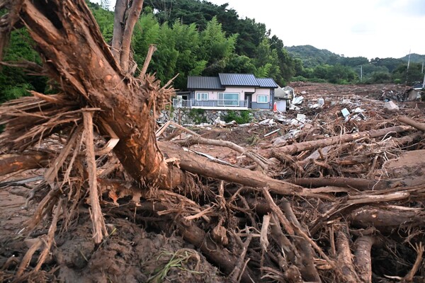 토사가 밀려 내려와 피해가 발생한 산청군 산청읍 내부마을. 21일 오전 5시 15분께 마을은 주변에 산에서 밀려온 커다란 나무와 돌들이 쌓여 있다 ./김구연 기자
