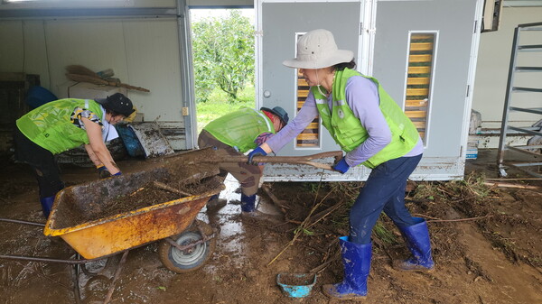 창원시 자원봉사단체가 21일 산청군 시천면 곶감 농가 창고에서 토사물 제거 등 복구작업을 하고 있다./창원시