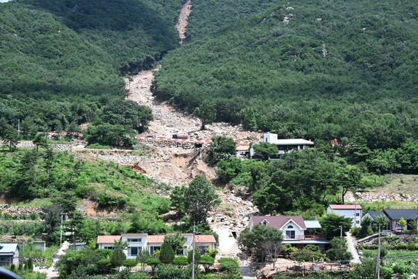 22일 산청군 신안면 외송리 부근 산사태 현장. 나무와 토사가 흘러내린 흔적이 뚜렷하다. /김구연 기자