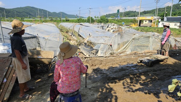 의령군 대의면 구성마을에서 고추 농사를 짓는 주민이 23일 오전 폭우로 침수된 비닐하우스를 망연자실 바라보고 있다. /유은상 기자