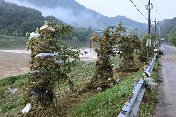 지난 20일 산청군 생비량면 가계리 강변 도로에 많은 쓰레기가 밀려와 가로수에 걸쳐 있다. /김구연 기자