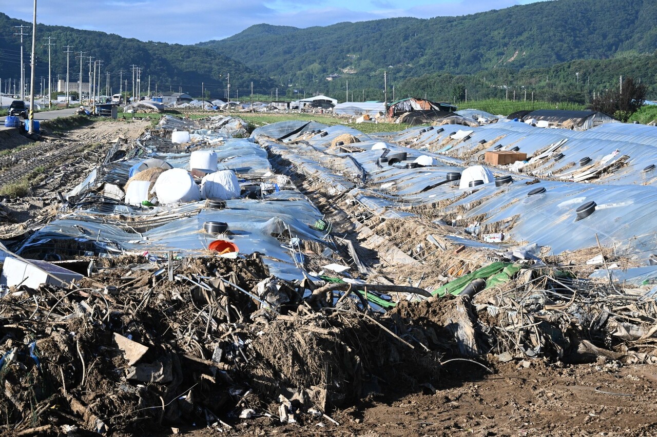 26일 경남 산청군 신안면 신기리. /김구연 기자