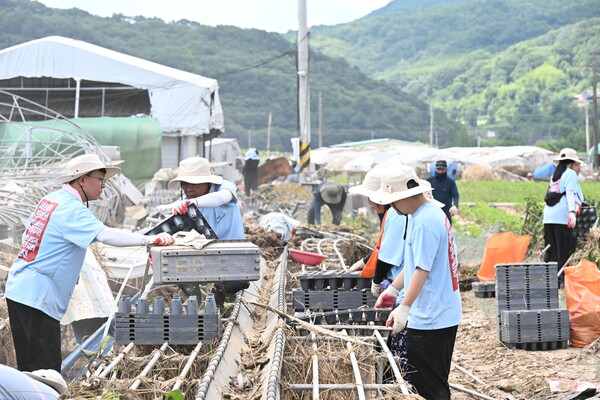 경남노동자통일선봉대 회원들이 26일 경남 산청군 신안면 신기리 신기마을 딸기 주산지 홍수 피해현장에서 복구작업하고 있다. /김구연 기자