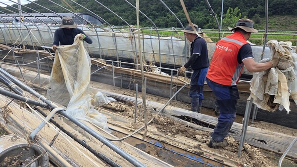 경북안전기동대 대원들이 26일 산청군 신안면 수대마을에서 딸기 하우스 내부 비닐을 제거하고 있다. /안지산 기자