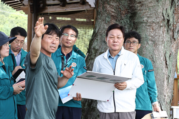 26일 박완수 경남도지사가 마을 전체가 내려앉아 주민 이주가 검토 중인 산청군 생비량면 상능마을에서 현장을 점검하고 있다. /경남도