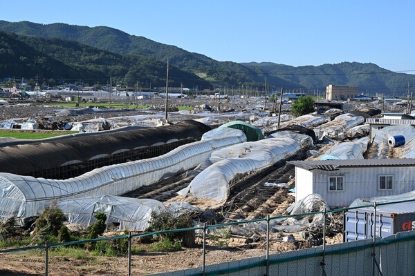 산청군 신안면 신기리 딸기 주산지 29일 홍수 피해 현장 모습. 비닐하우스 대부분이 물에 잠겨 넘어져 있다./김구연 기자