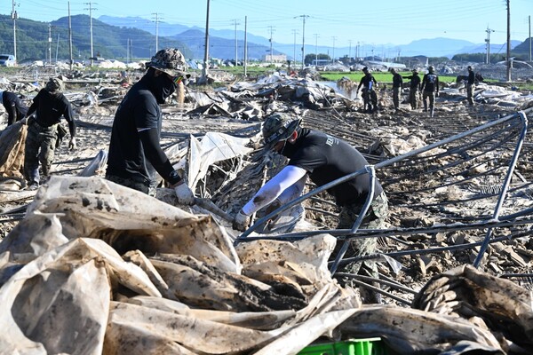 산청군 신안면 신기리 딸기 주산지에서 29일 특전사 군인들이 따가운 햇살 아래 복구 작업하고 있다./김구연 기자