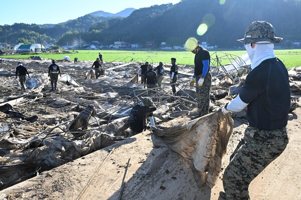 산청군 신안면 신기리 딸기 주산지에서 29일 특전사 군인들이 따가운 햇살 아래 복구 작업하고 있다./김구연 기자