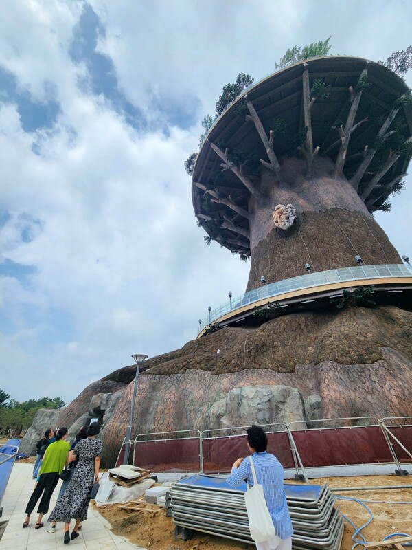4일 빅트리 임시 개방 첫날 단체 관람객들이 빅트리를 둘러보고 있다./우귀화 기자