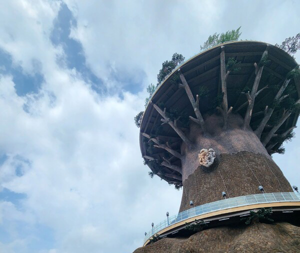 지난 4일 대상공원 내 빅트리의 모습. /우귀화 기자