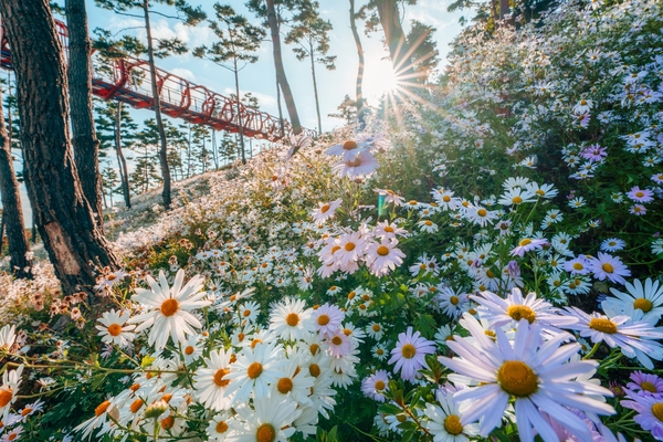 ▲ 산청 동의보감촌. /경남도