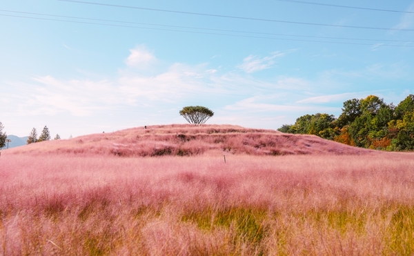▲ 합천 신소양체육공원. /경남도